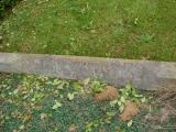 image of grave number 29860